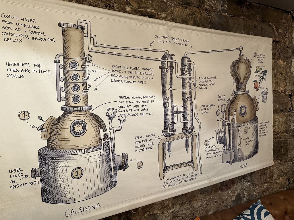 Scottish Design Exchange and Edinburgh&nbsp;Gin